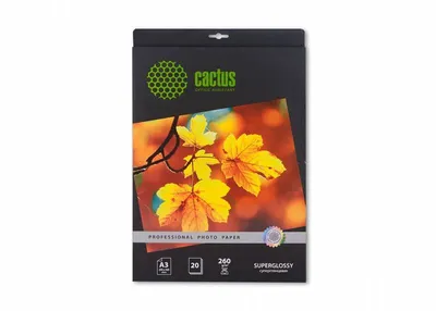 Фотобумага Cactus CS-HGA326020, A3, 260г/м², 20л., глянцевая