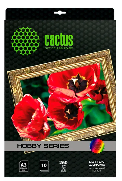 Cactus CS-CA326010 (A3, 10 листов, 300 г/м2) арт бумага,  хлопковый  холст