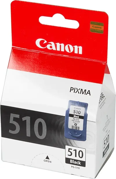 Картридж струйный Canon PG-510 2970B007/001 черный печ.гол.в компл. для Canon MP240/MP260/MP480