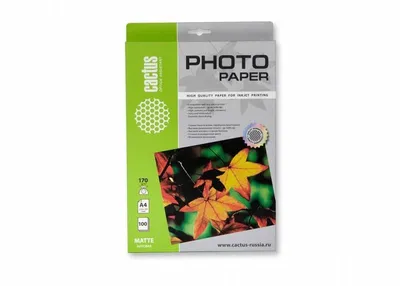 Фотобумага Cactus CS-MA4170100, A4, 170г/м², матовая, 100л.